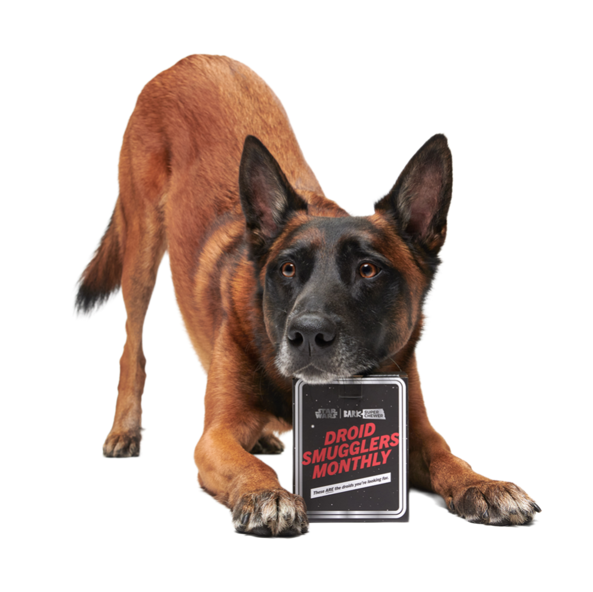 Star Wars™ Droid Smugglers Club, Super Chewer Durable Monthly Dog Toys