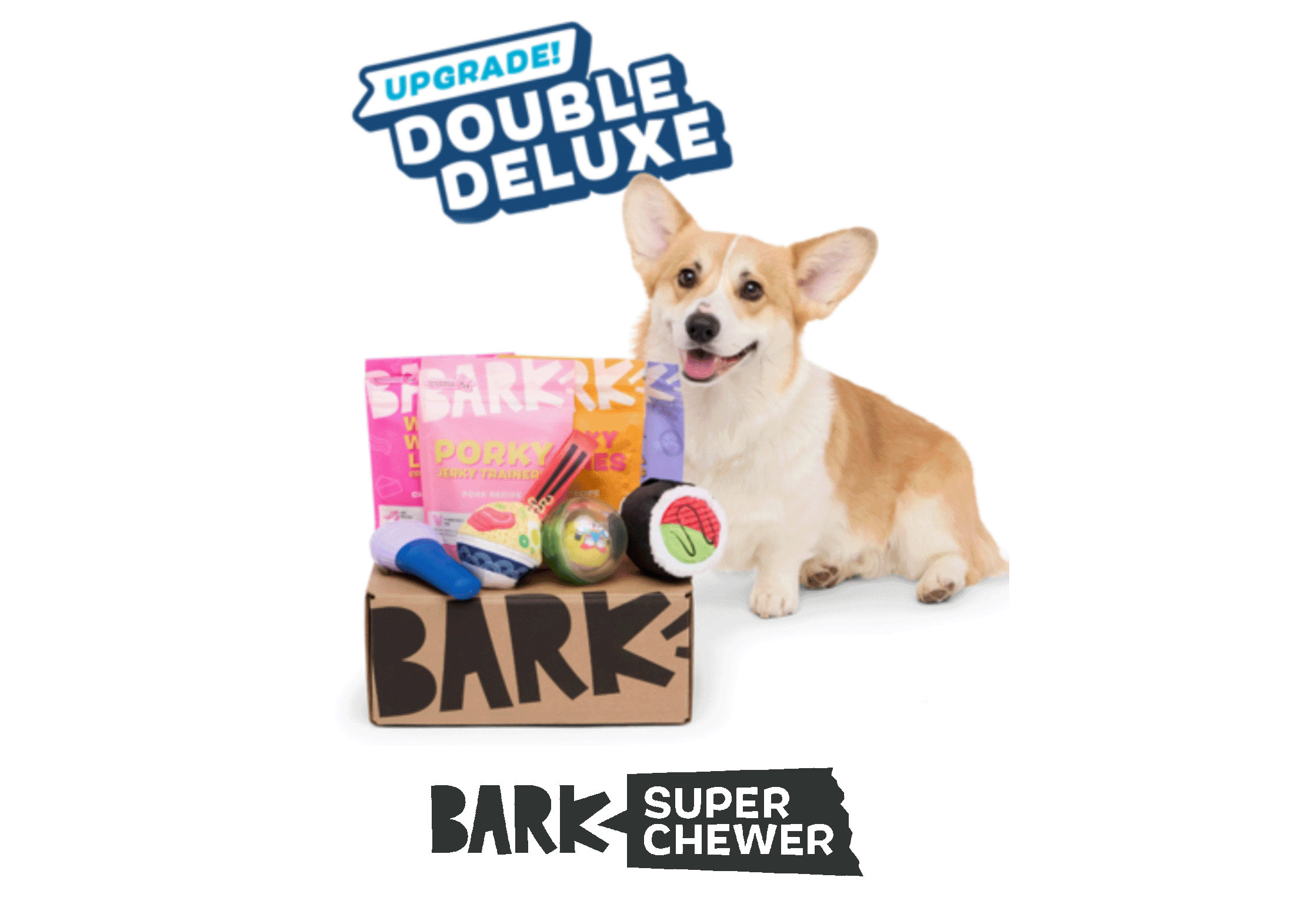BarkBox Double Deluxe Toys & Treats Upgrade – BARK