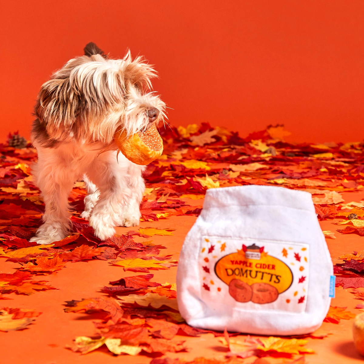 Apple Cider Domutts