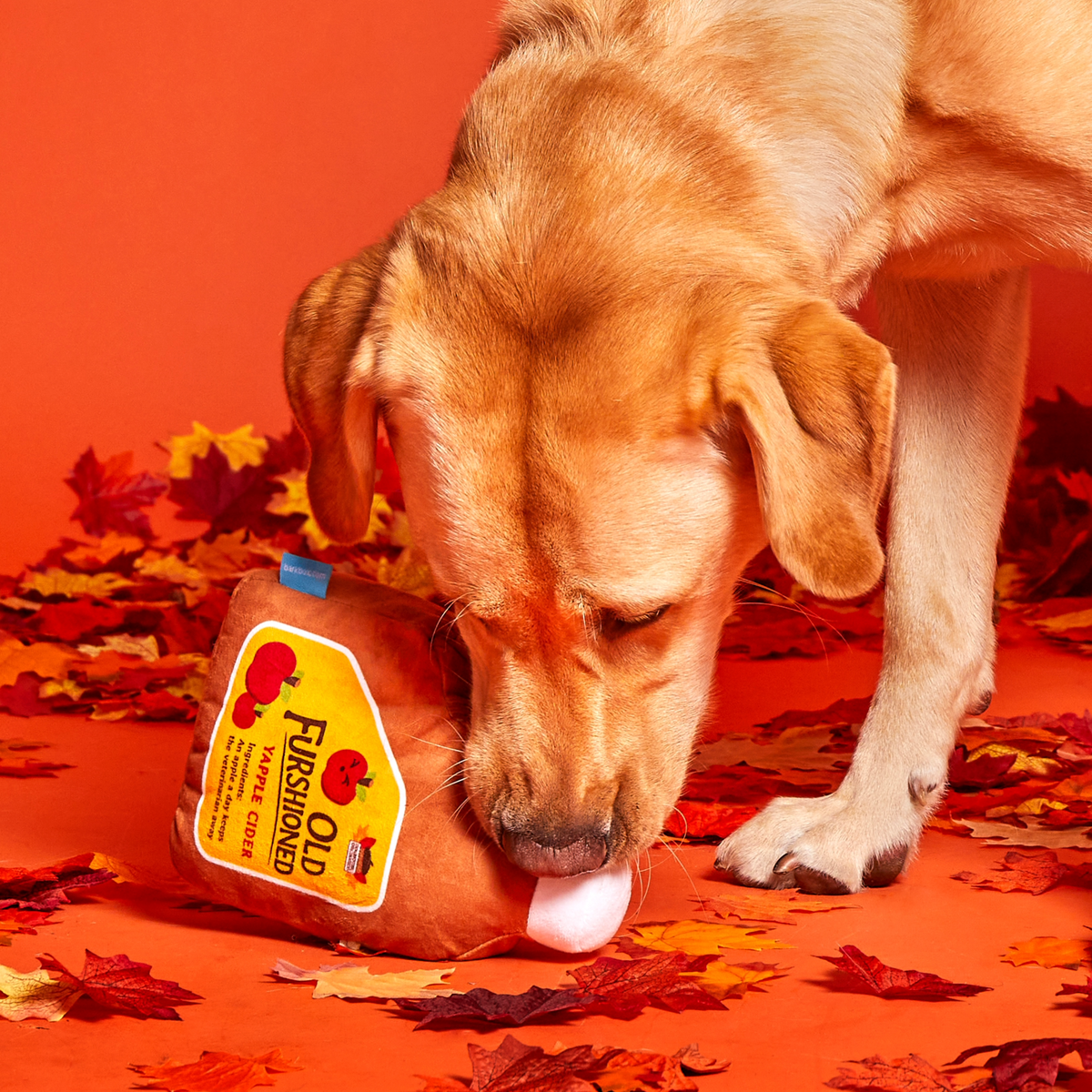 Old Furshioned Yapple cider