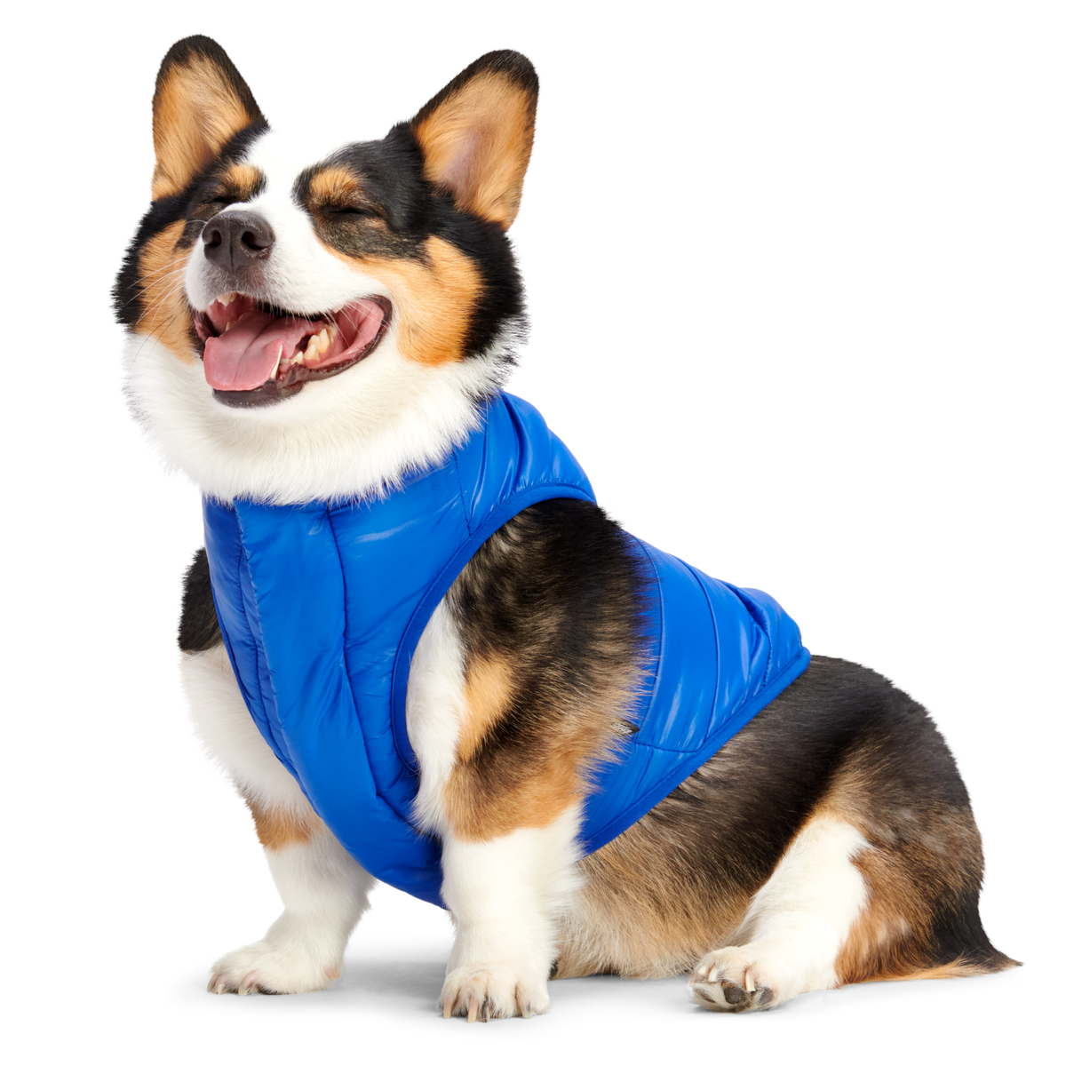 Puffer Vest Cobalt