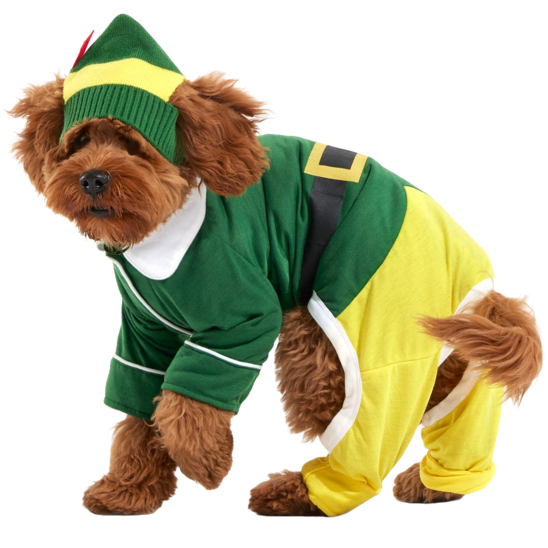 Elf Dog Toy & Treat Holiday Gift Box