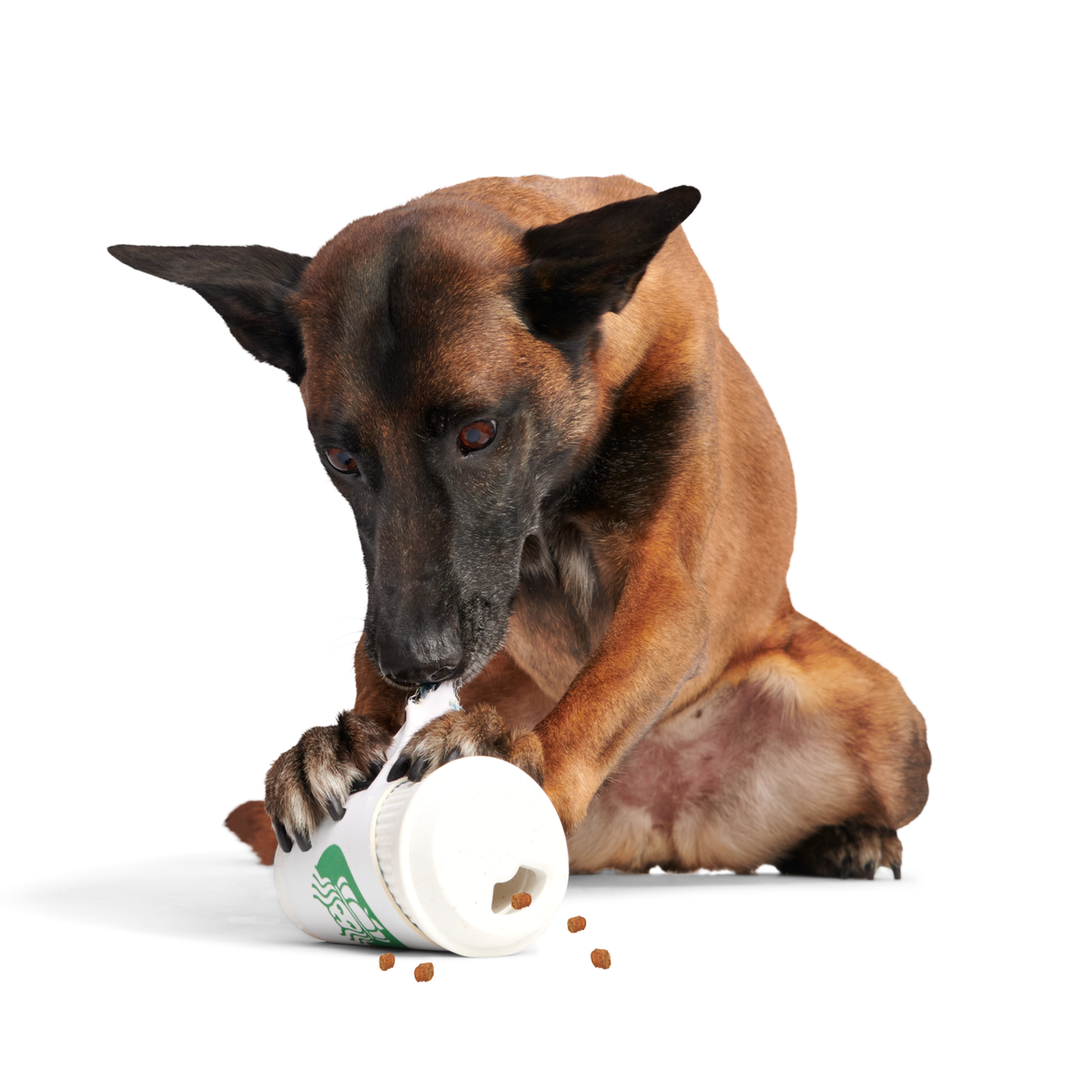 Pupkin Spice Yappuccino