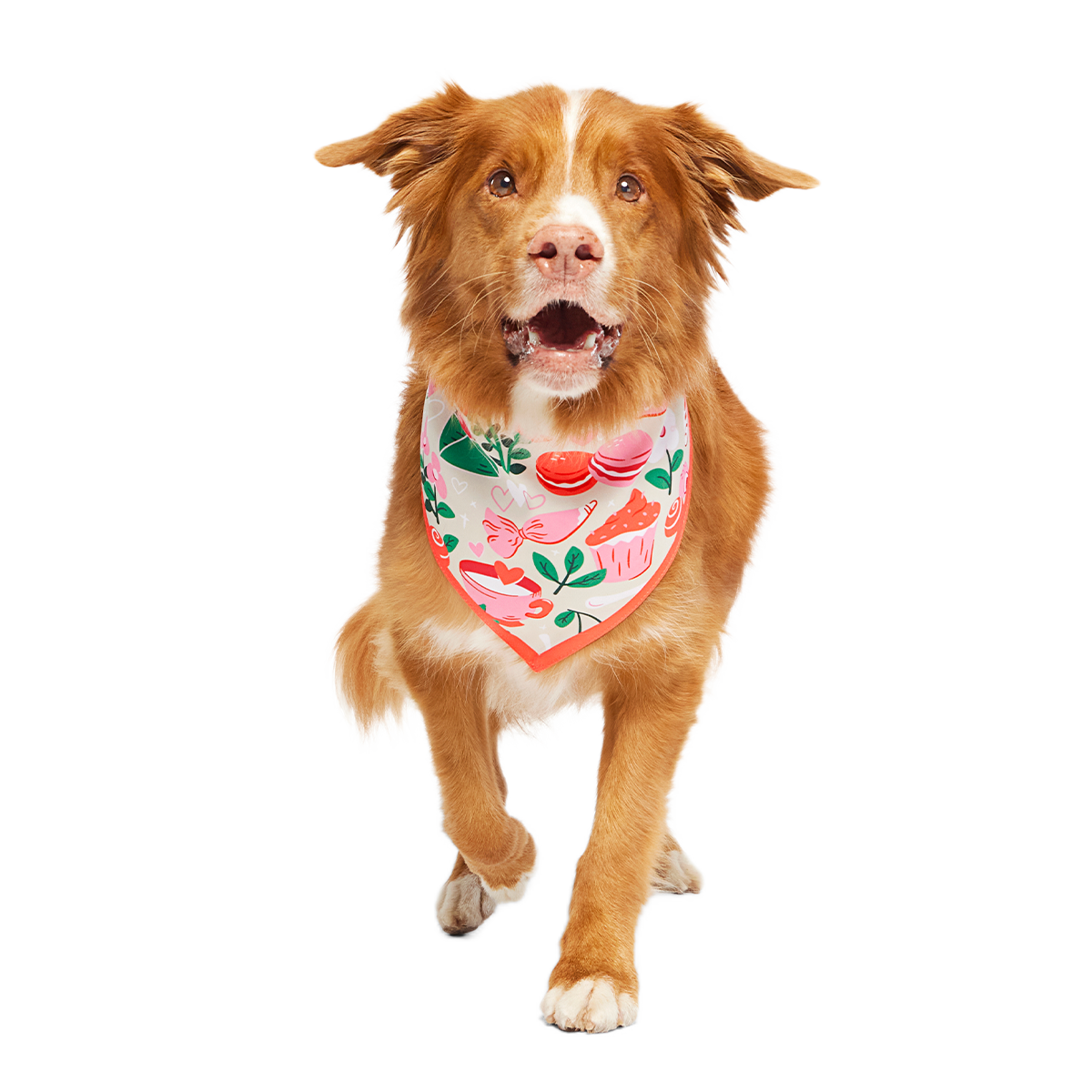 Valentine's Day Dog Bandana