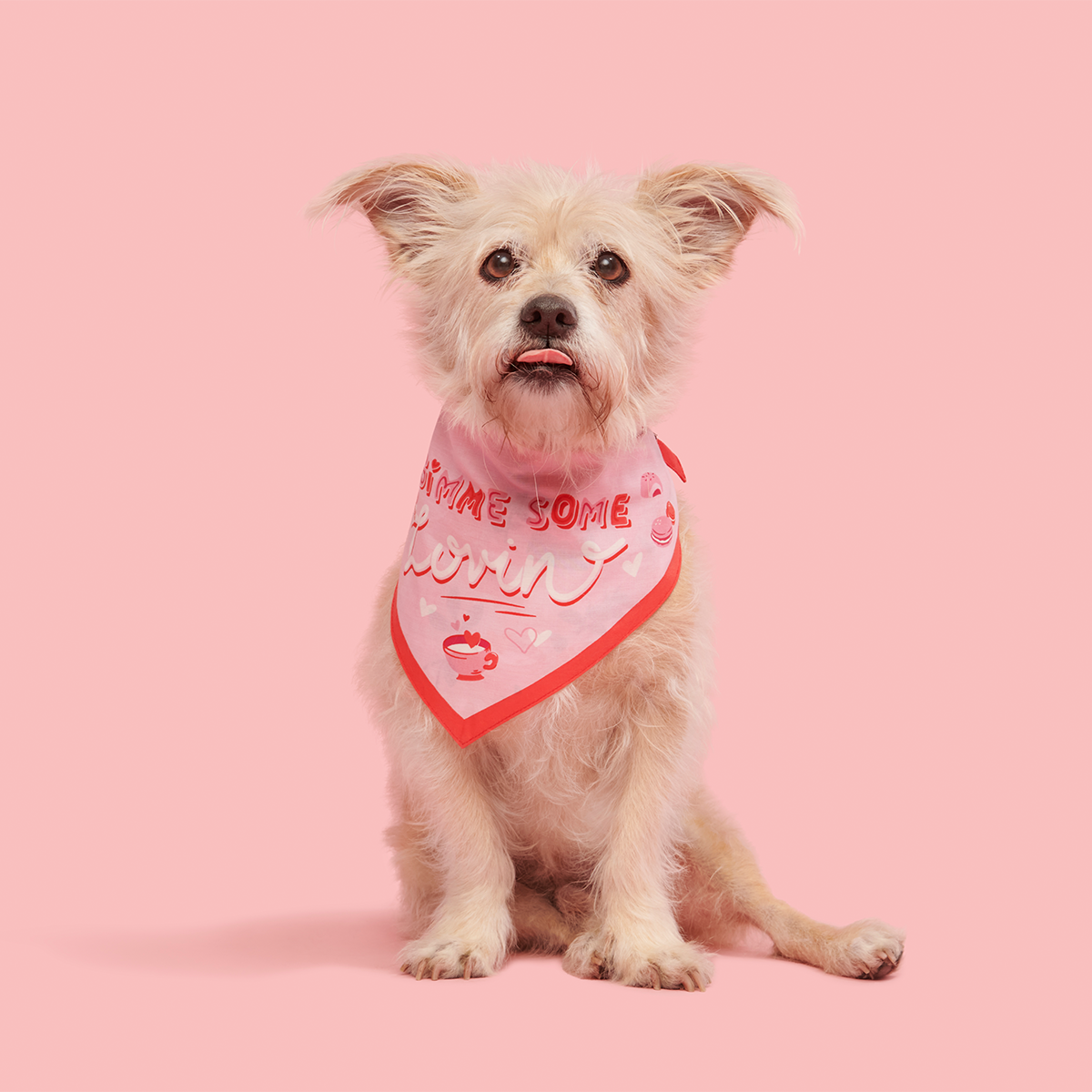 Valentine's Day Dog Bandana