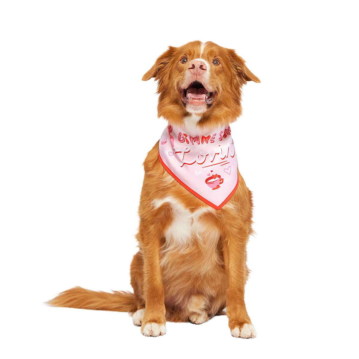 Valentine's Day Dog Bandana