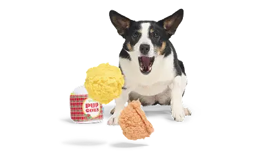 Obsession Guaranteed.