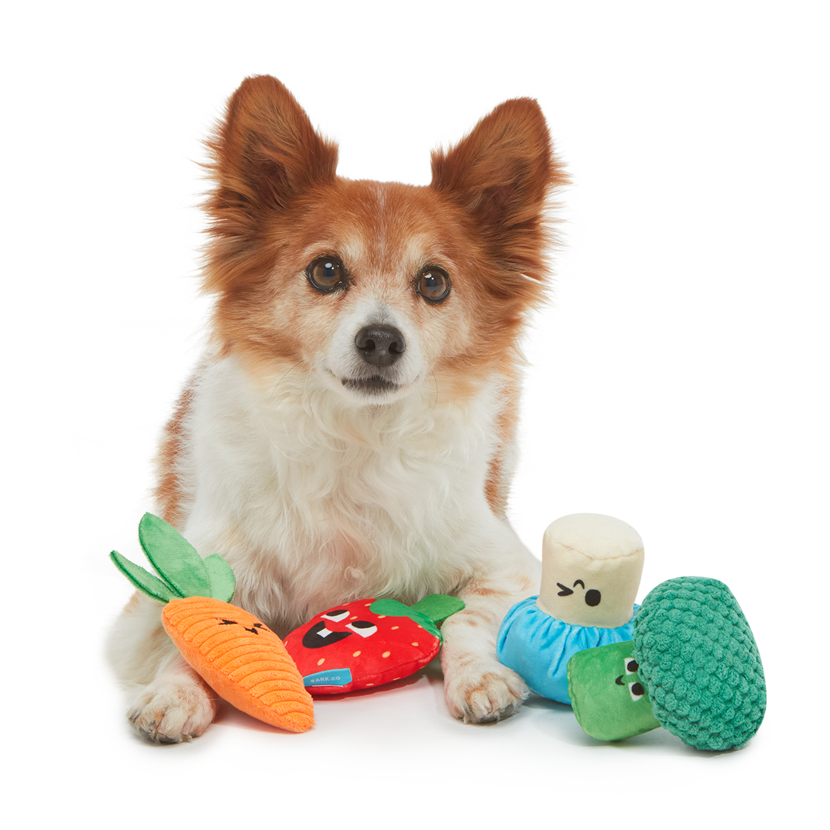 Veggie Patch Pals Plush Multi-Part Dog Toy