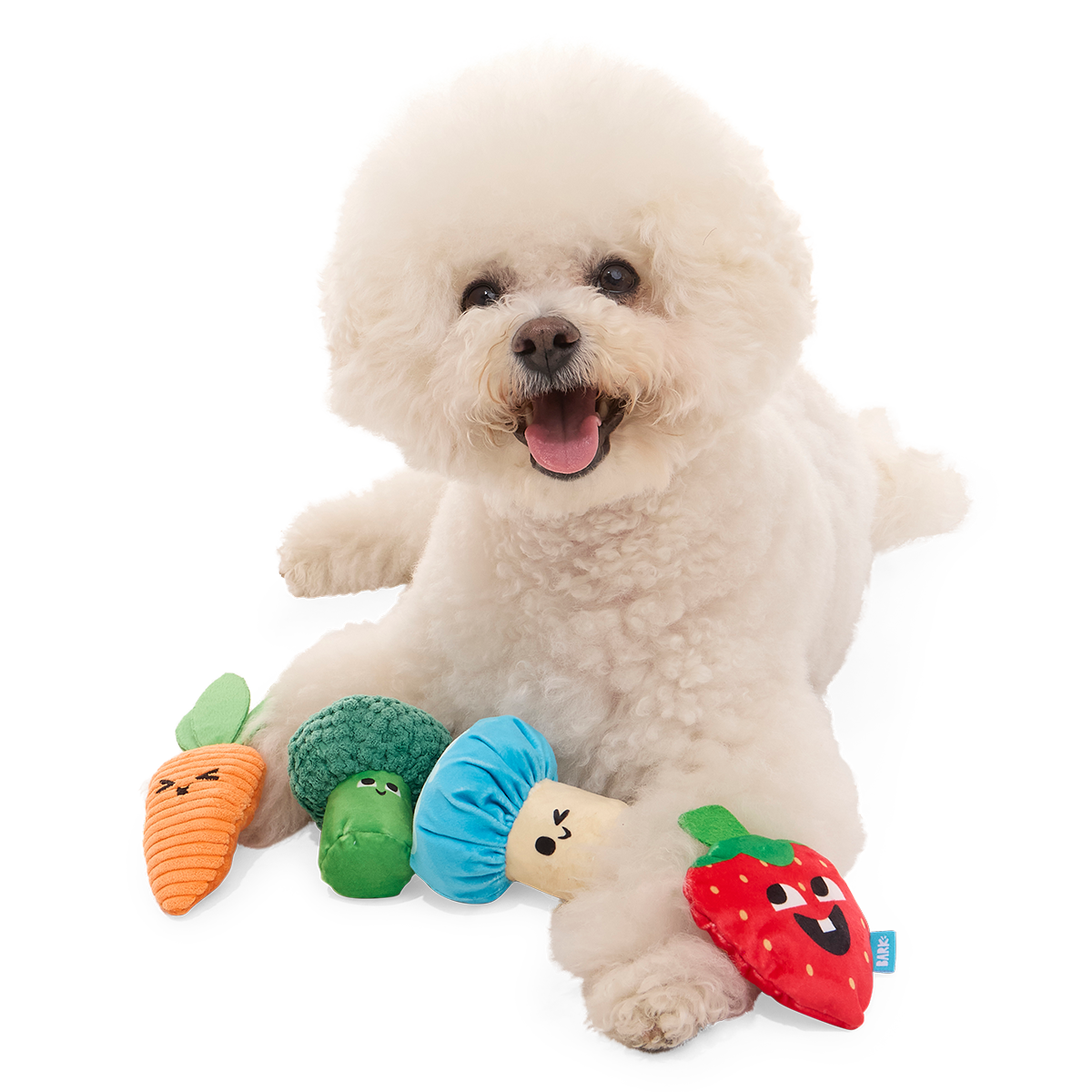 Veggie Patch Pals Plush Multi-Part Dog Toy
