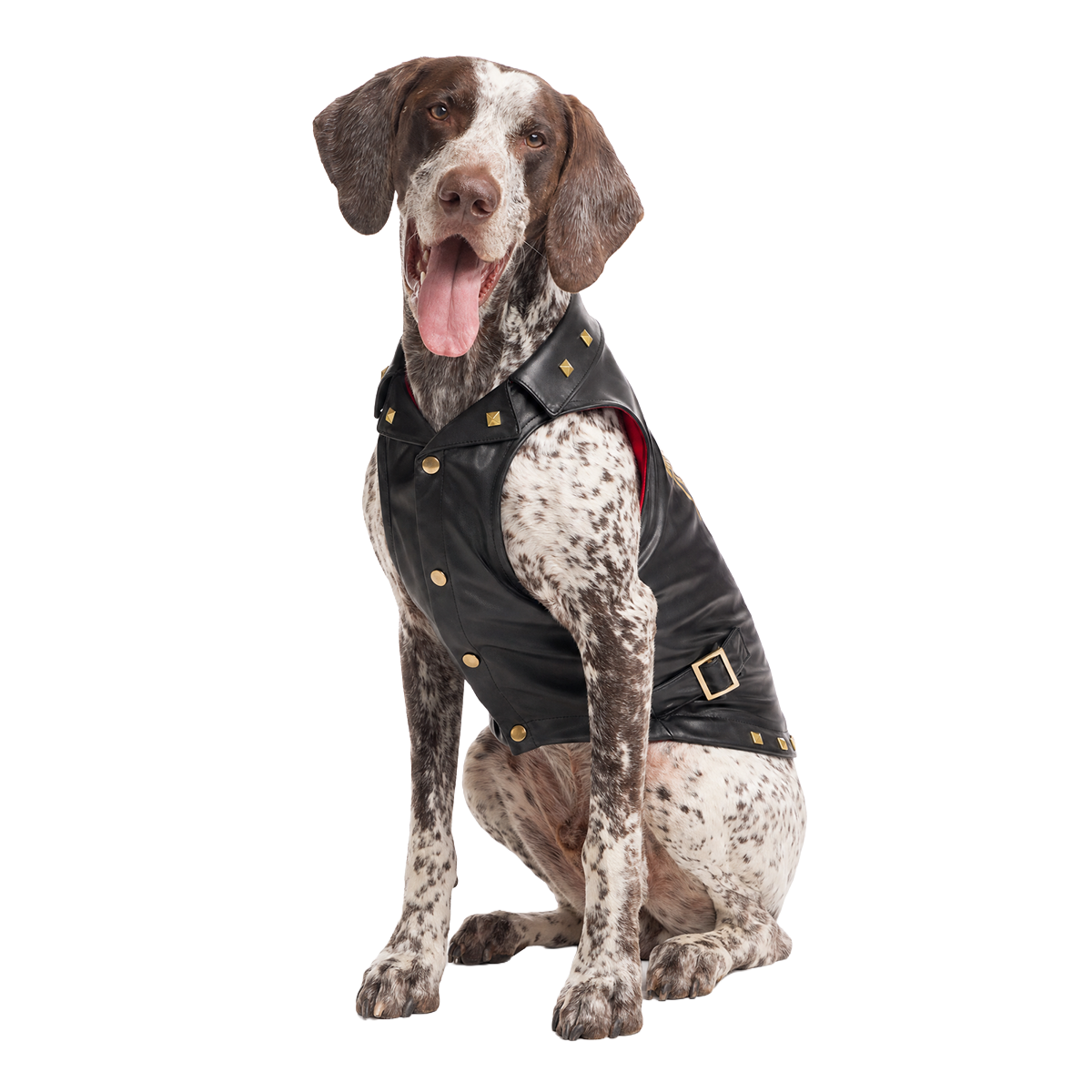 Vest in Peace Dog Vest#Size_L