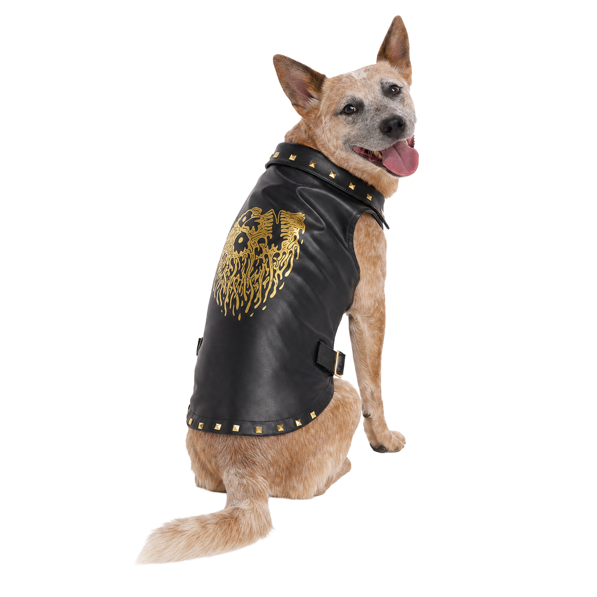 Vest in Peace Dog Vest#Size_M