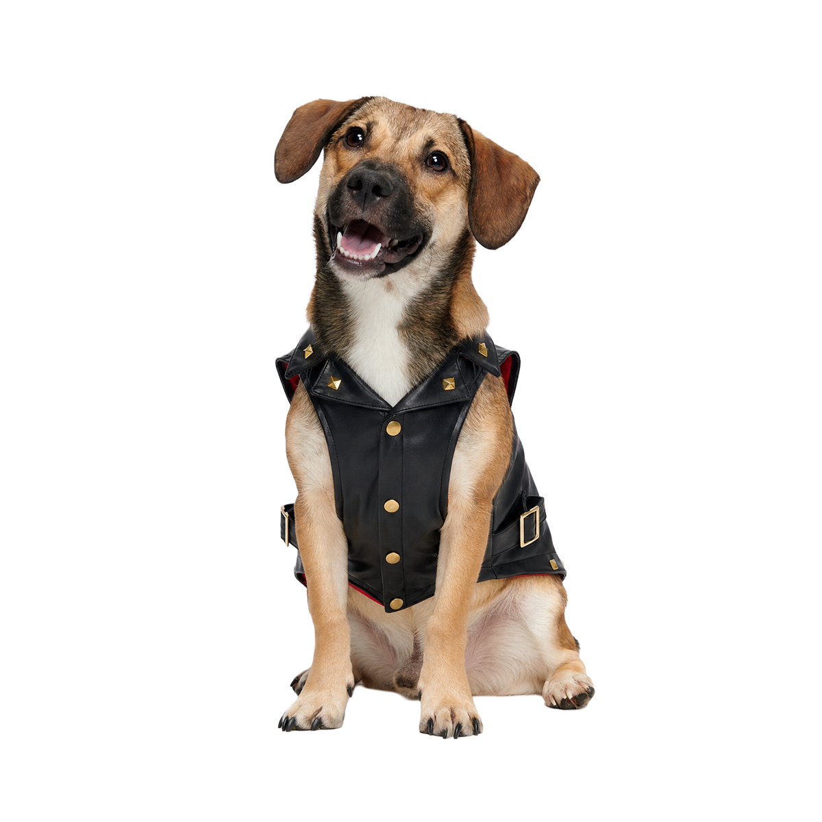 Vest in Peace Dog Vest#Size_S