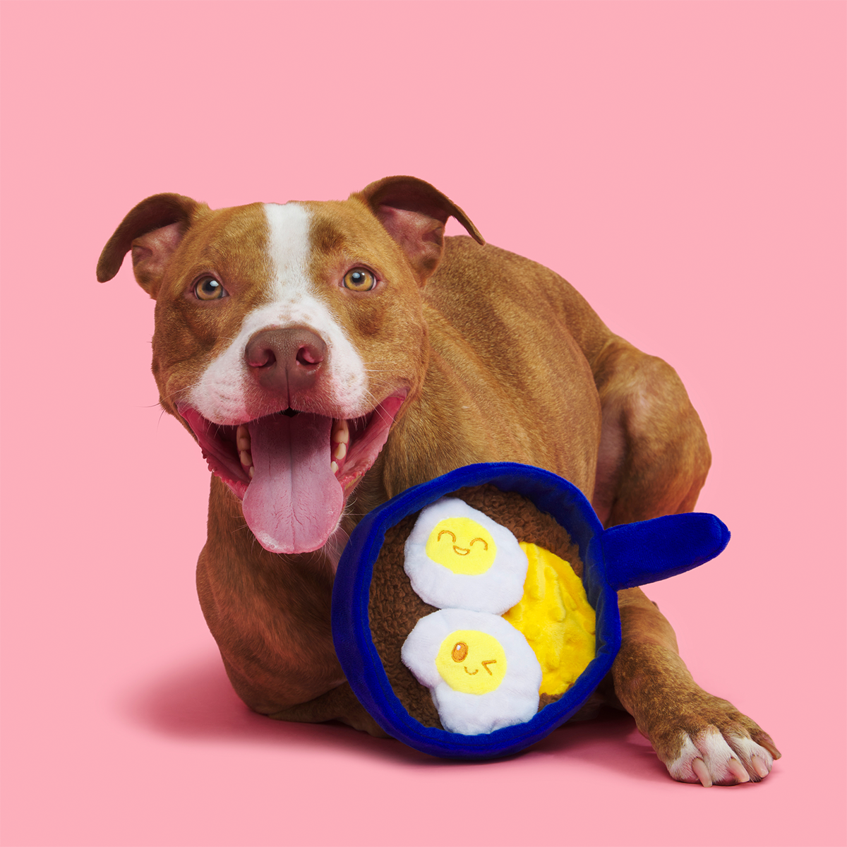 Waggos Rancheros Plush Tug Dog Toy