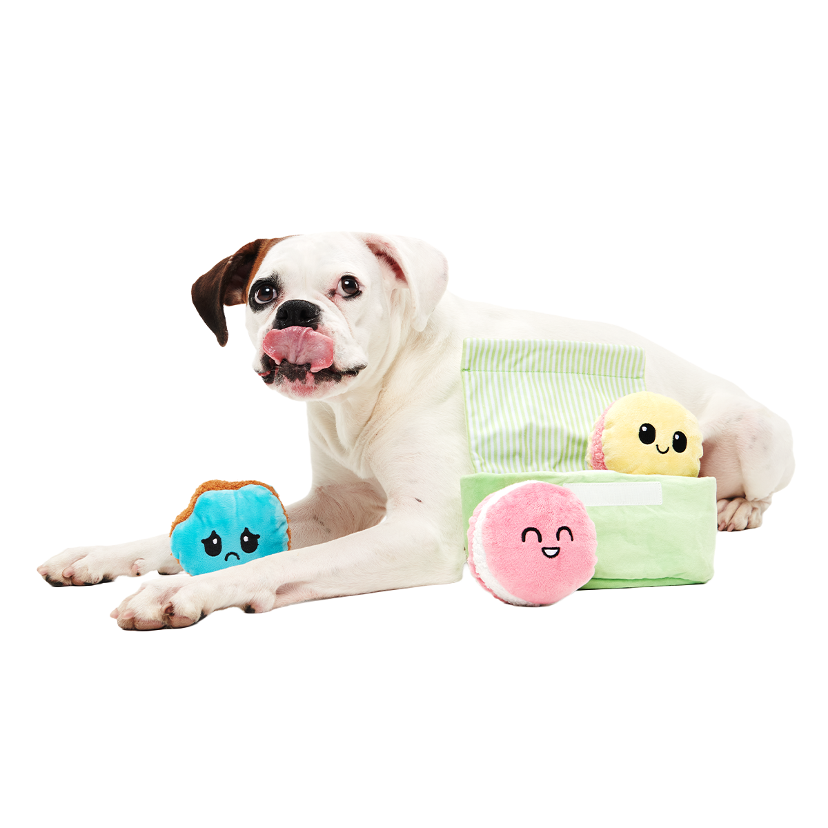 Wee Wee Macaroon Plush Multi-Part + Enrichment Dog Toy