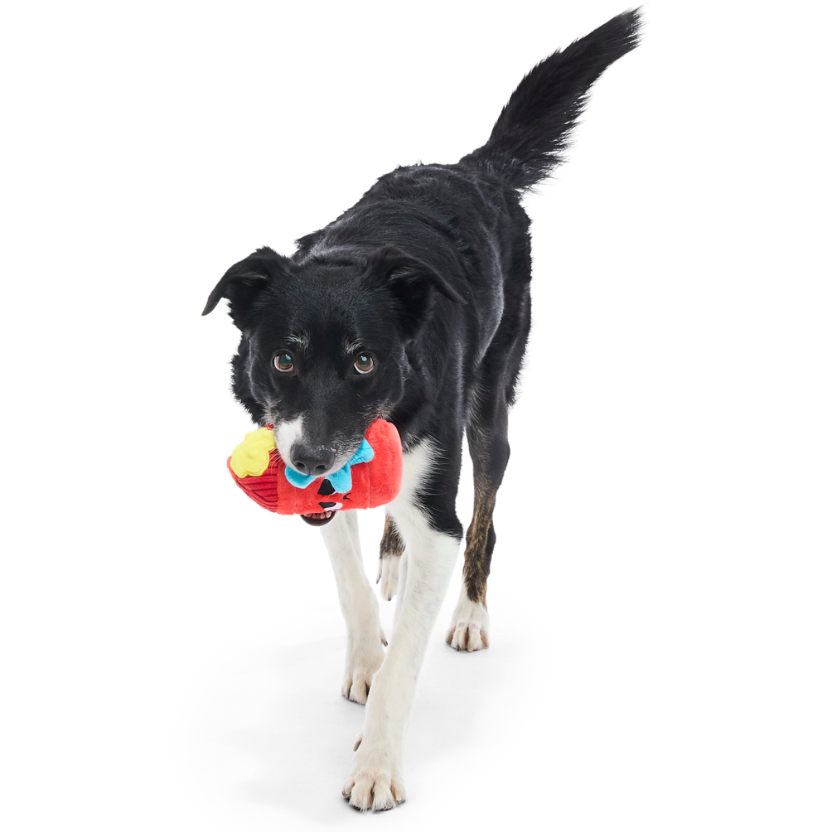 Wetted Willie Super Chewer Durable 2-in-1 Dog Toy