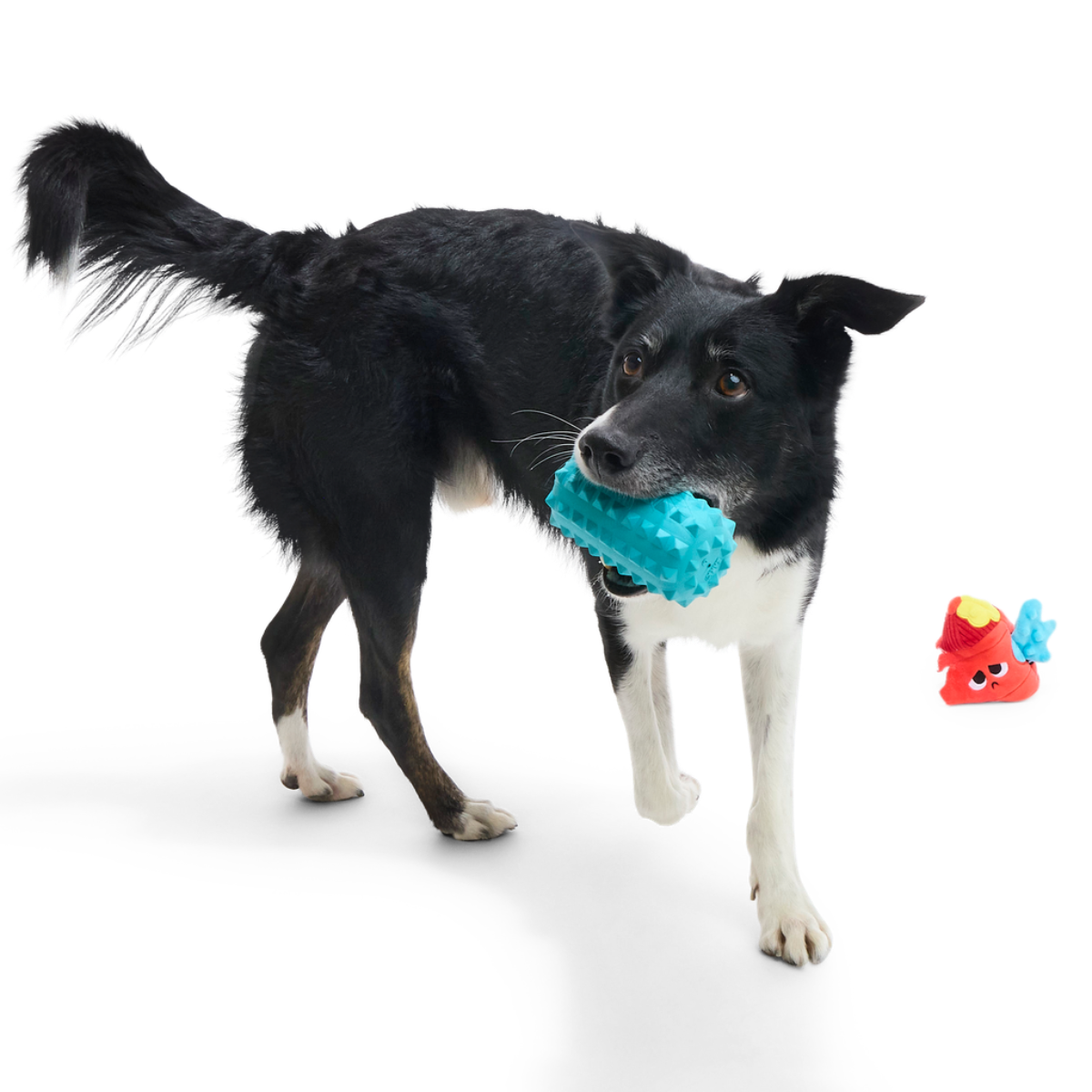 Wetted Willie Super Chewer Durable 2-in-1 Dog Toy