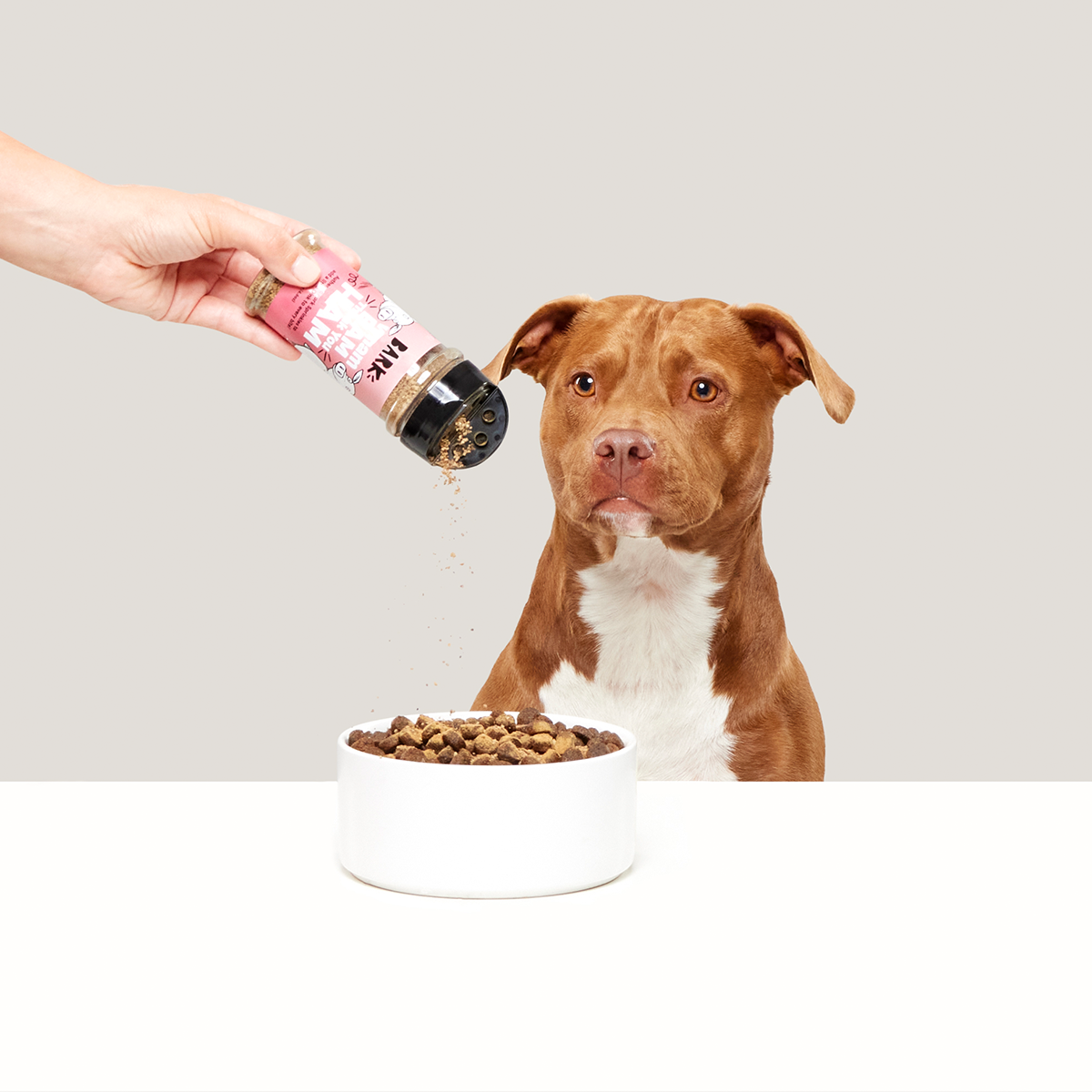 Wham Bam Thank You Ham Pork Dog Food Meal Topper, 4.6 oz