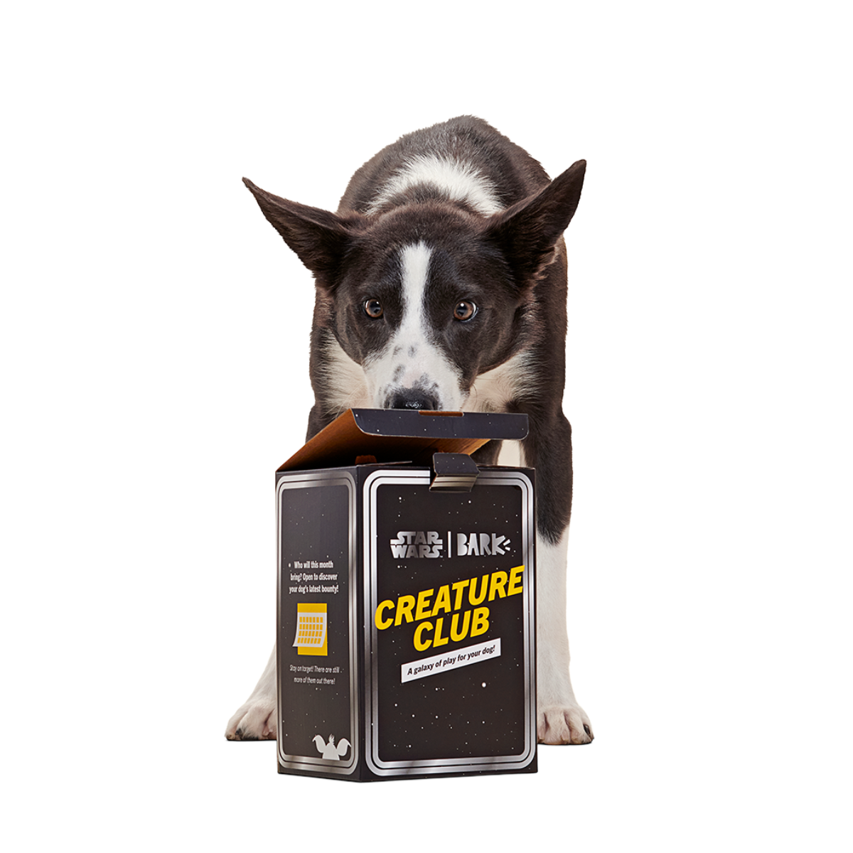 Star Wars™ Creature Club, Plush Monthly Dog Toys