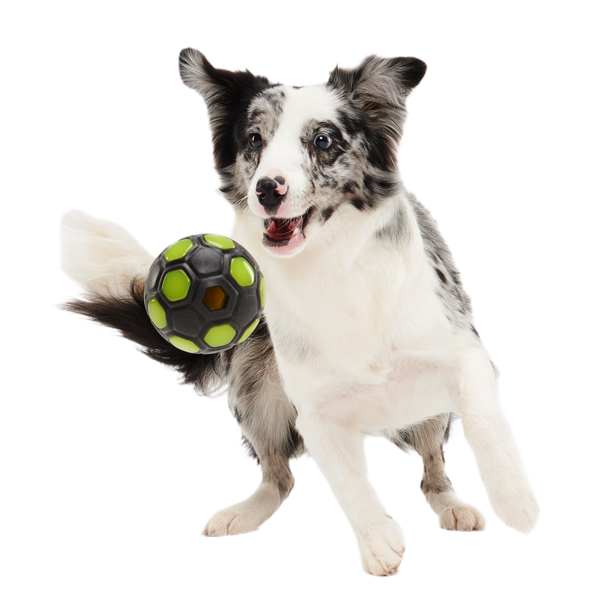 World Pup Snacker Ball Super Chewer Durable Enrichment + Fetch Dog Toy