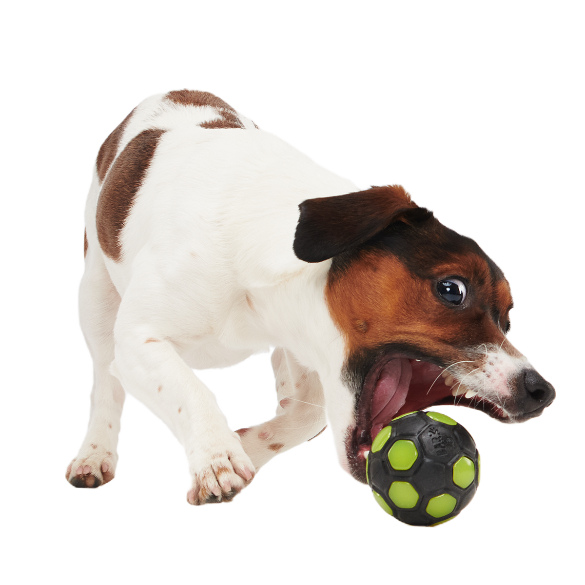 World Pup Snacker Ball Super Chewer Durable Enrichment + Fetch Dog Toy