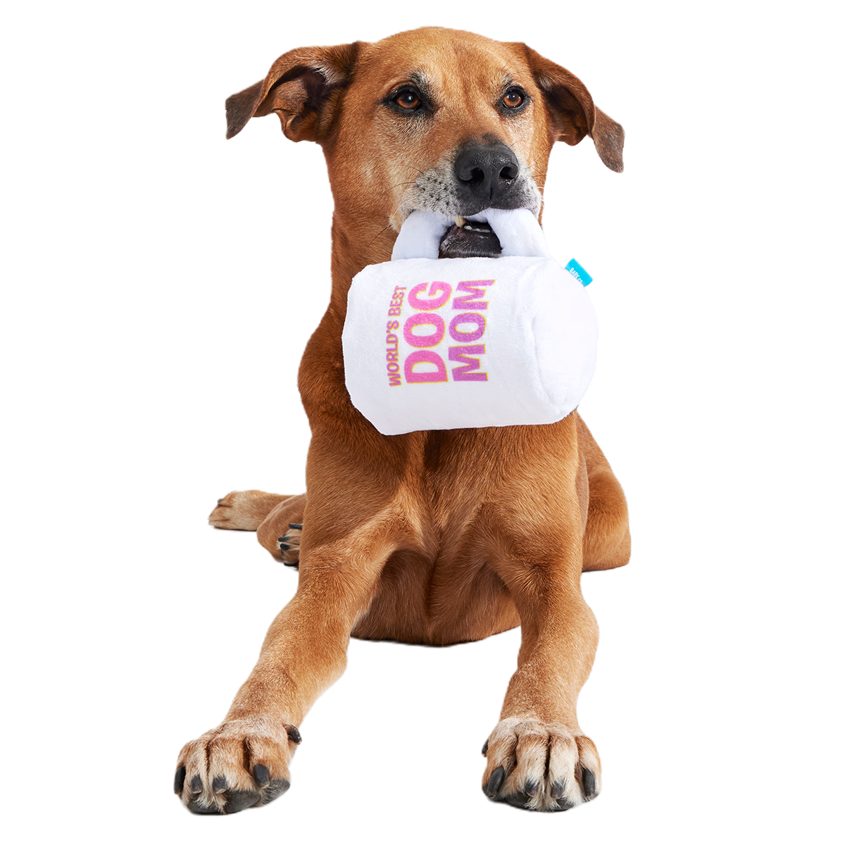 World's Best Dog Mom Mug Plush Tug Dog Toy