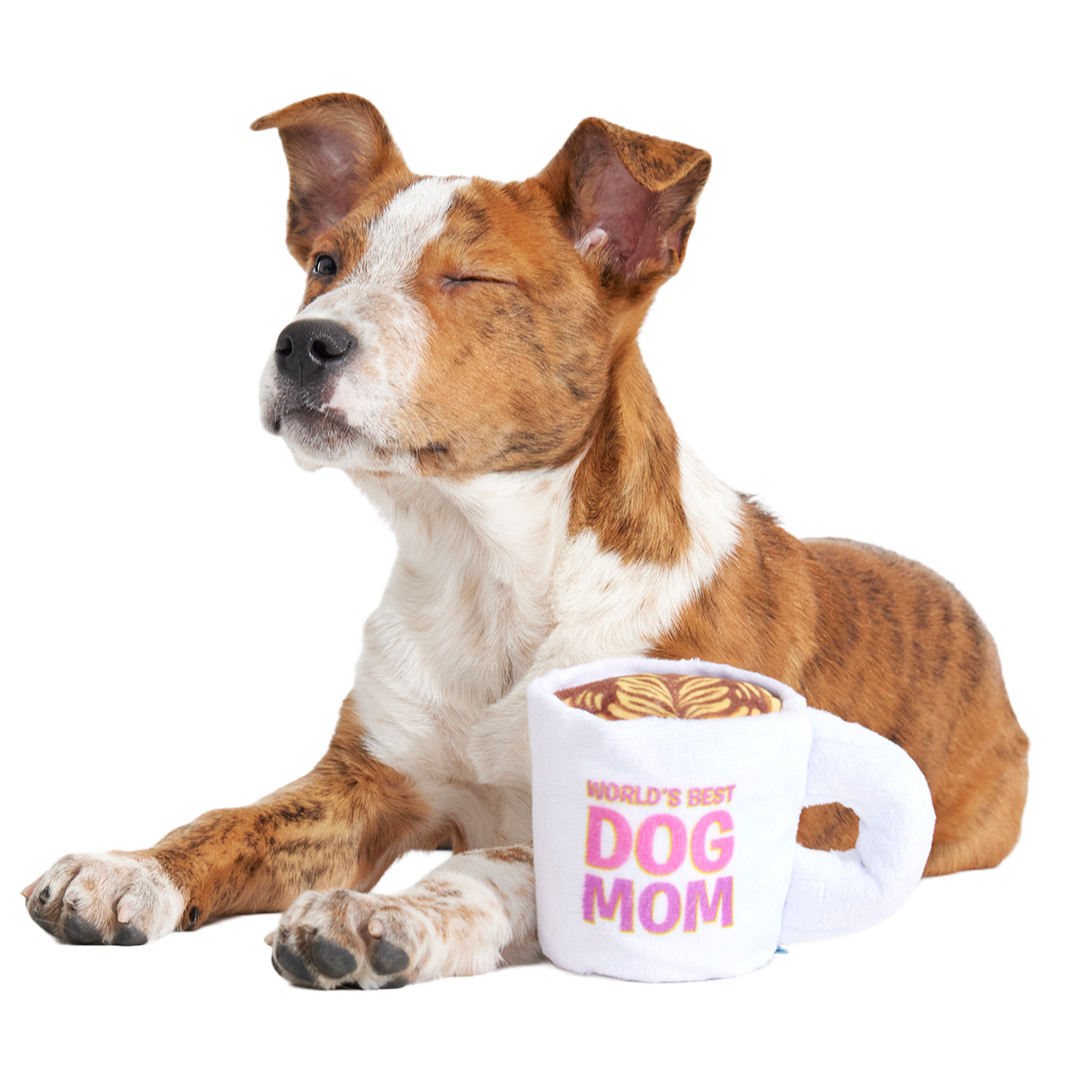 World's Best Dog Mom Mug Plush Tug Dog Toy