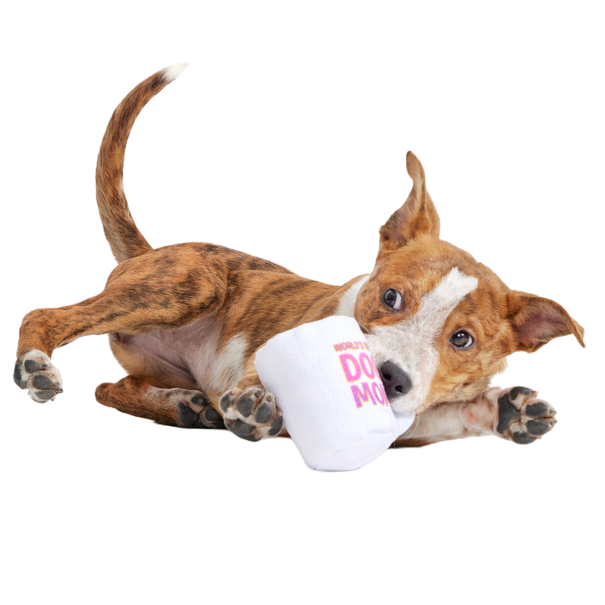 World's Best Dog Mom Mug Plush Tug Dog Toy