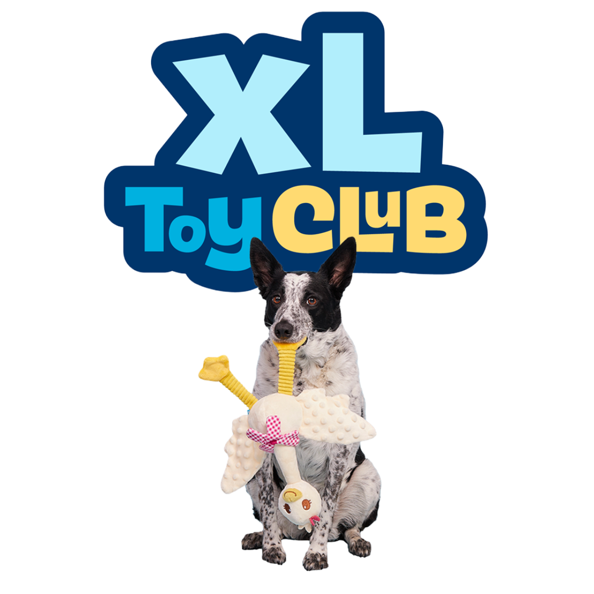 Farmer's Barket Gingham Goose Plush Tug + Extra-Large Dog Toy