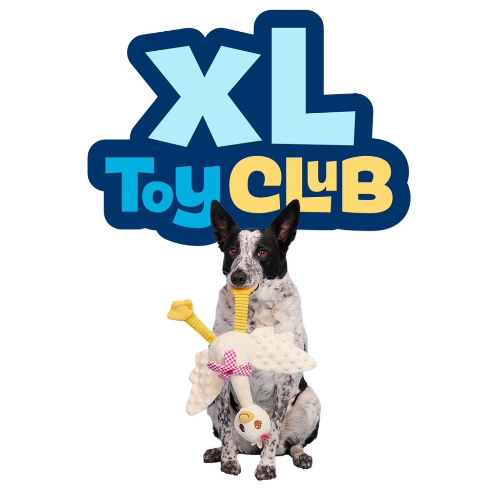 洋楽 Rup Dog XL Toy Club - Extra-Large Plush Toys for Dogs Monthly Subscription