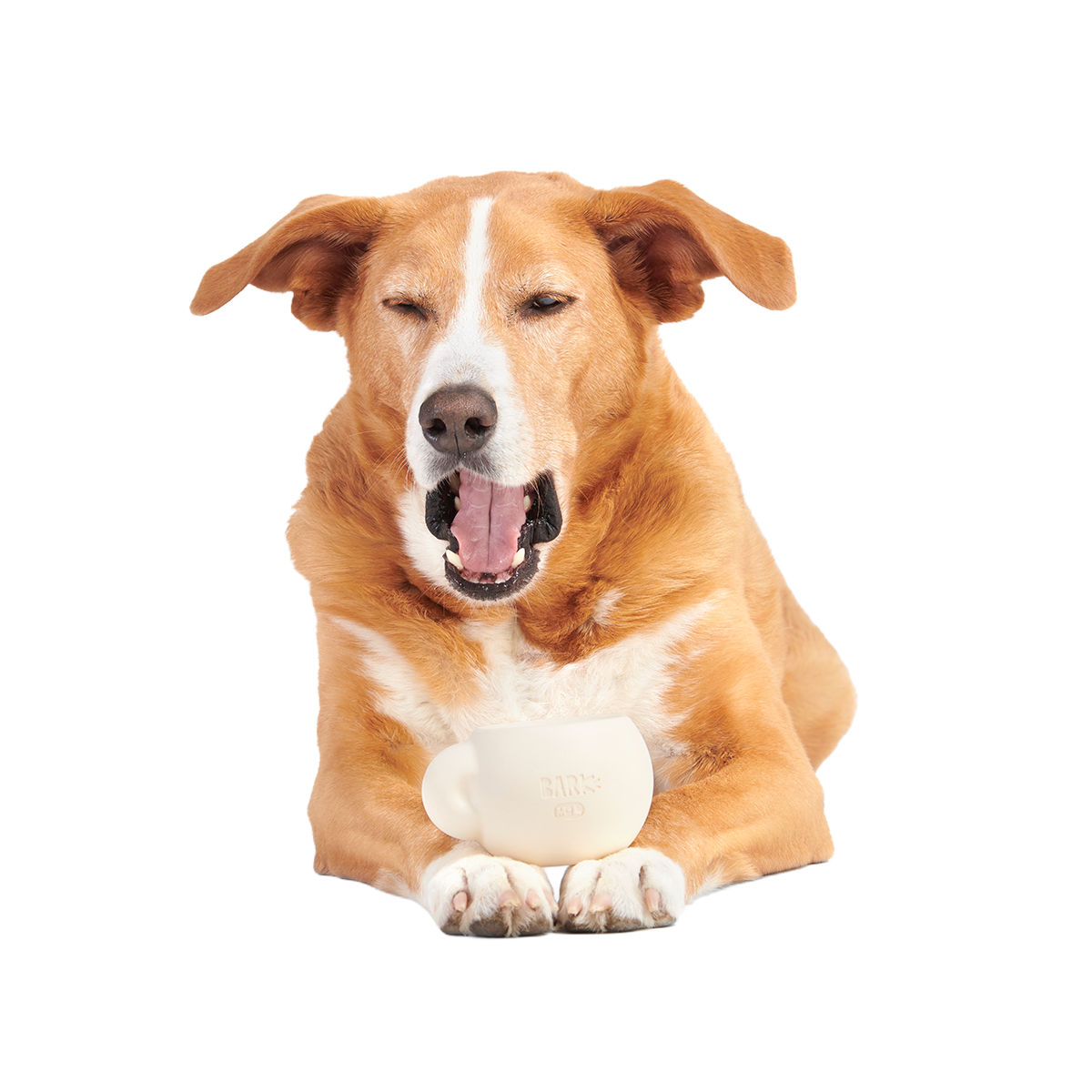 Yappucino Super Chewer Durable Enrichment Dog Toy