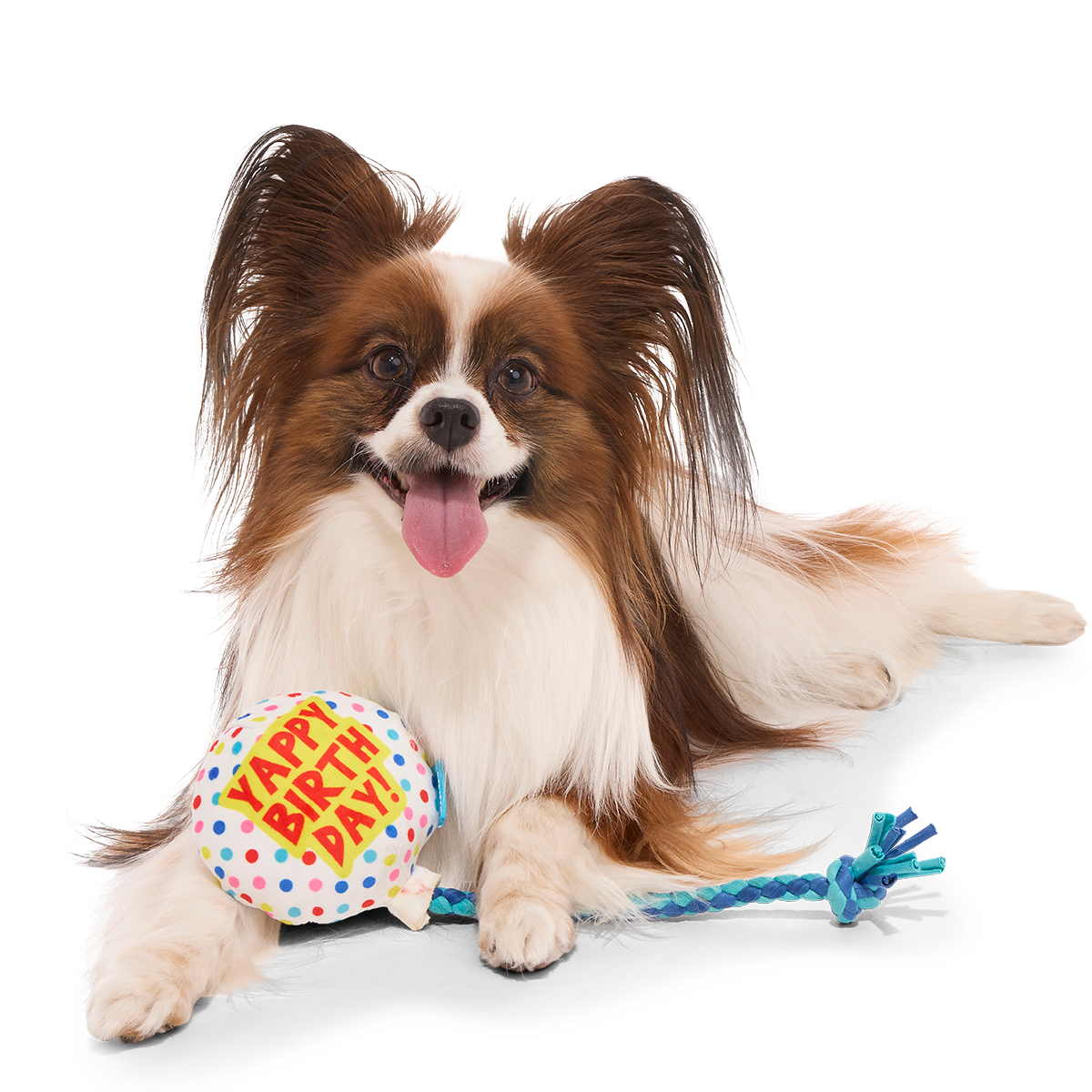 Yappy Birthday Balloon Plush Tug Dog Toy