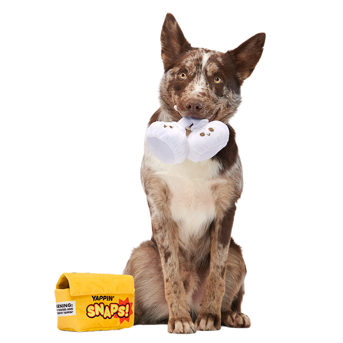 Yappy Snaps Plush Multi-Part Tug Dog Toy