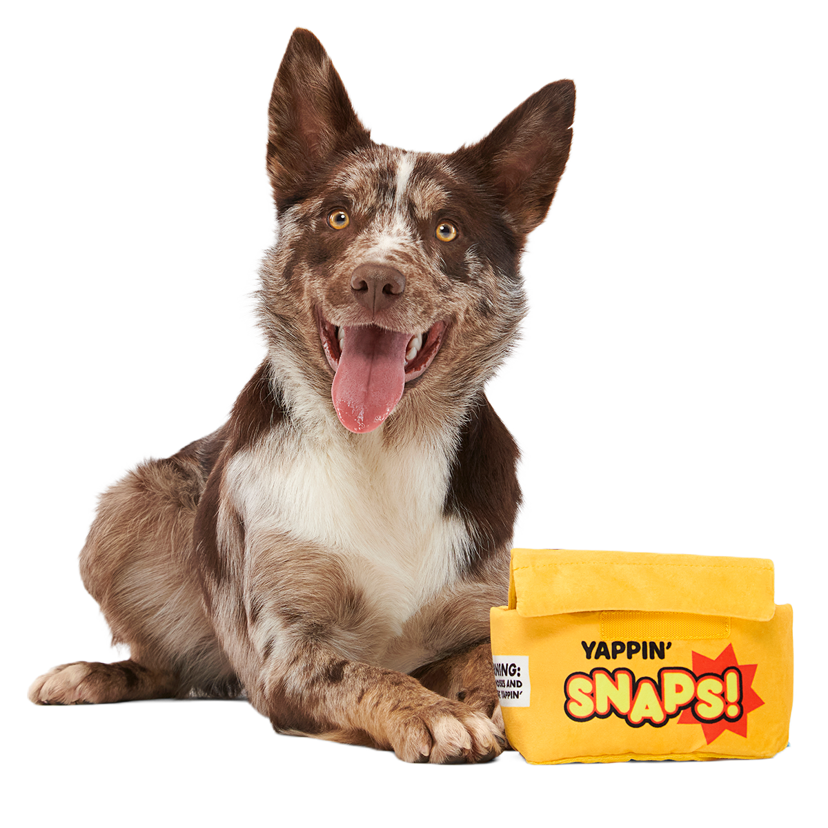 Yappy Snaps Plush Multi-Part Tug Dog Toy