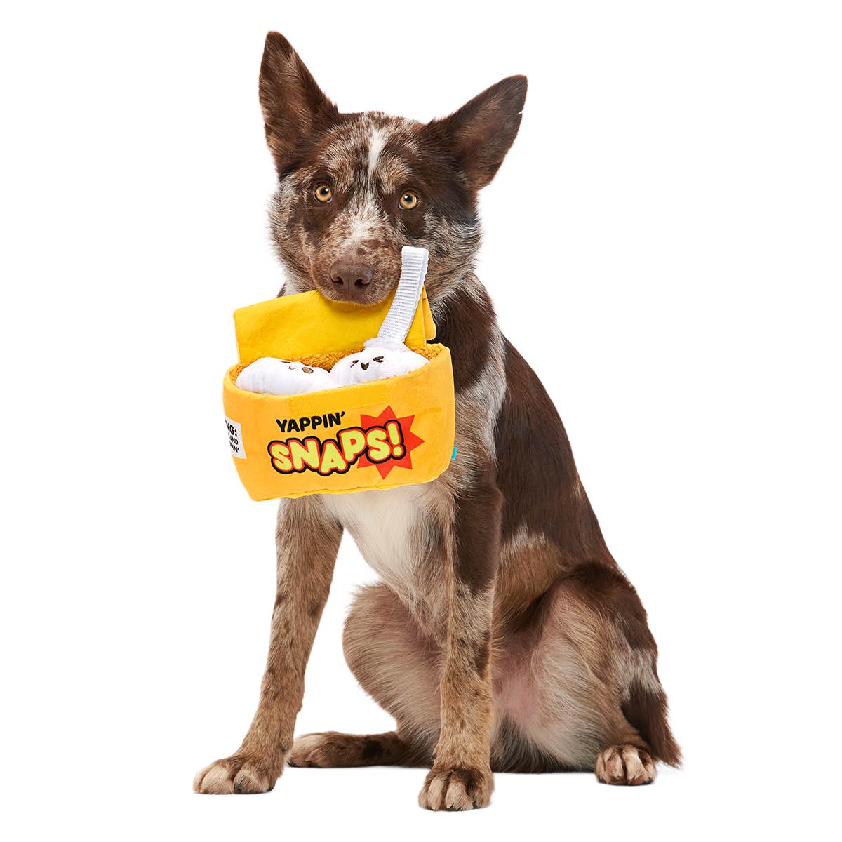 Yappy Snaps Plush Multi-Part Tug Dog Toy