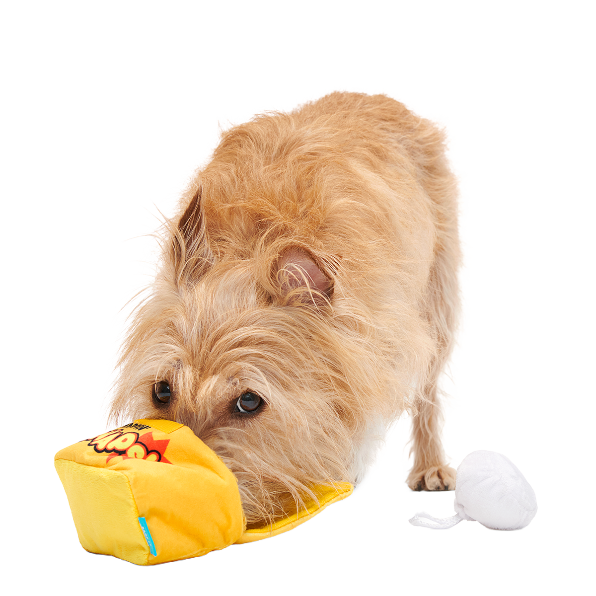 Yappy Snaps Plush Multi-Part Tug Dog Toy