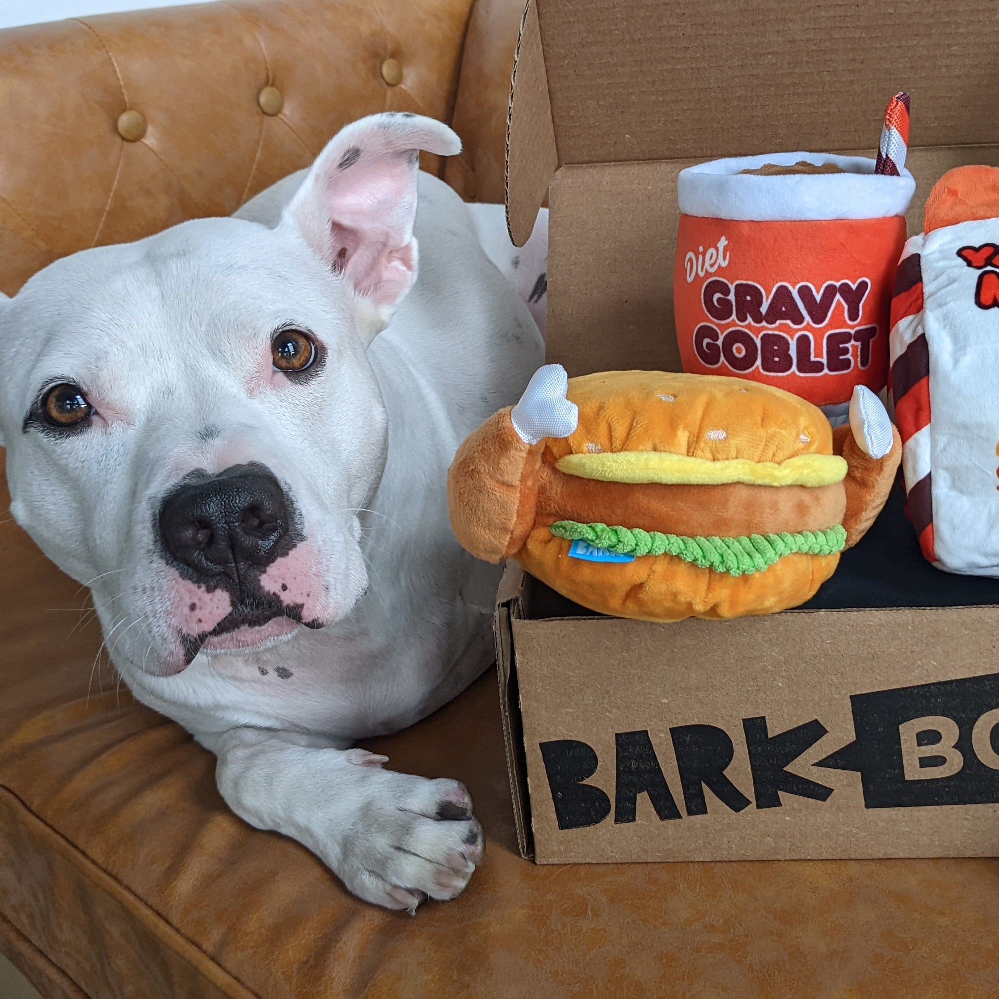 BarkBox 3 Month Prepaid Gift Subscription