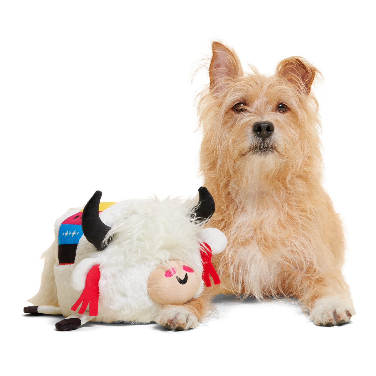 Yeshe the Yak Plush Extra-Large + Tug Dog Toy