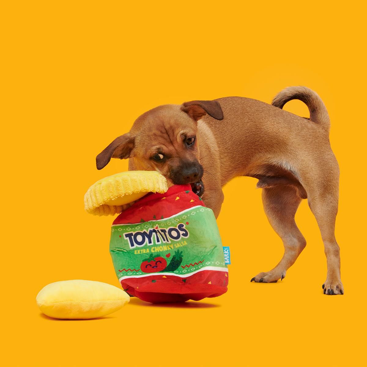 Yip & Salsa Plush Multi-Part + Enrichment Dog Toy