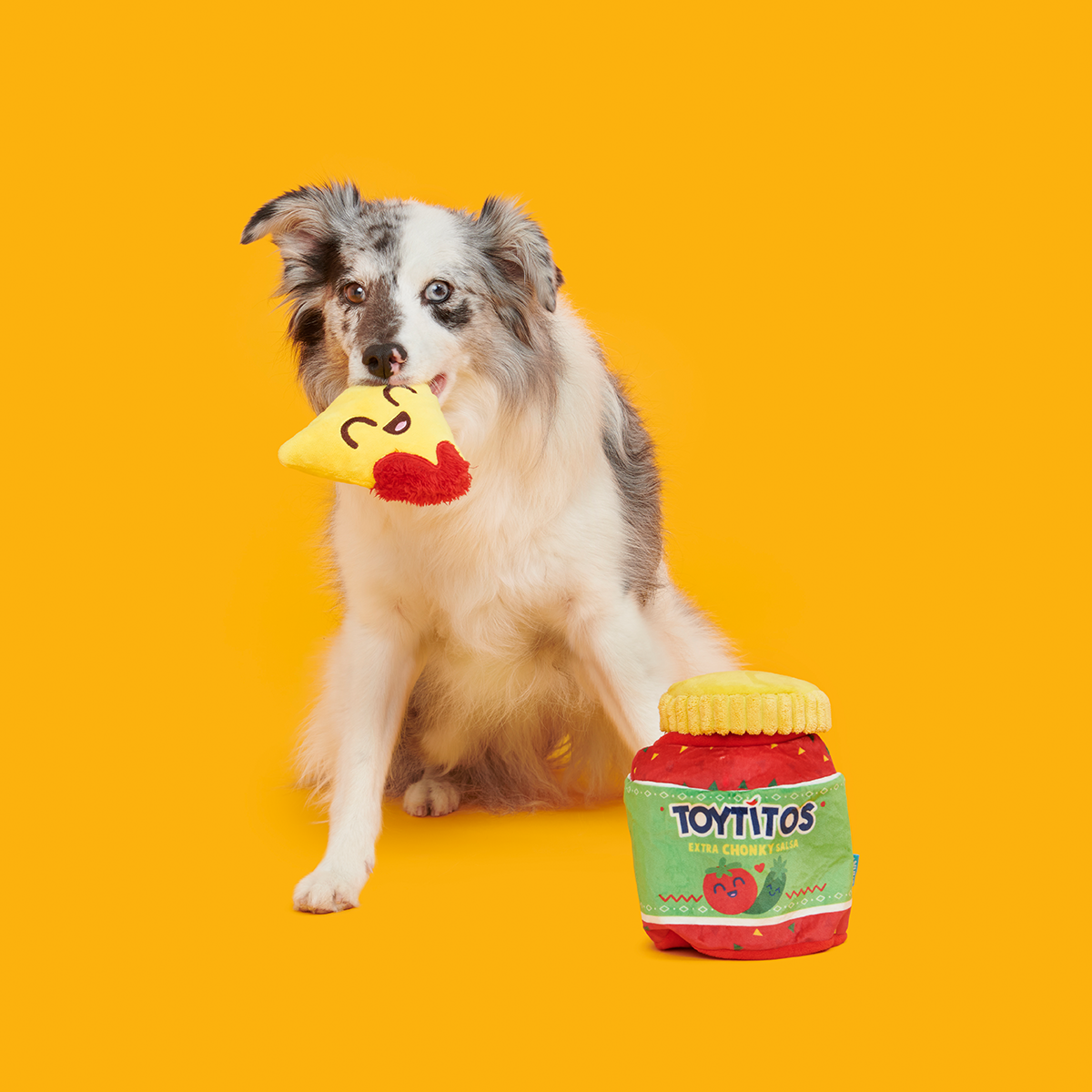 Yip & Salsa Plush Multi-Part + Enrichment Dog Toy