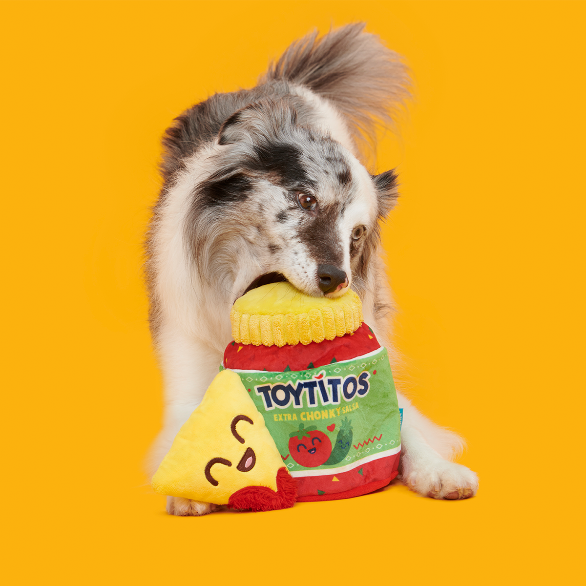 Yip & Salsa Plush Multi-Part + Enrichment Dog Toy