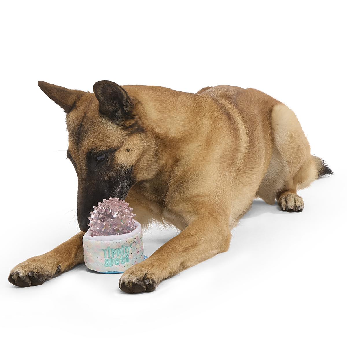 Yippin’ Spots Plush Multi-Part Fetch + Enrichment Dog Toy