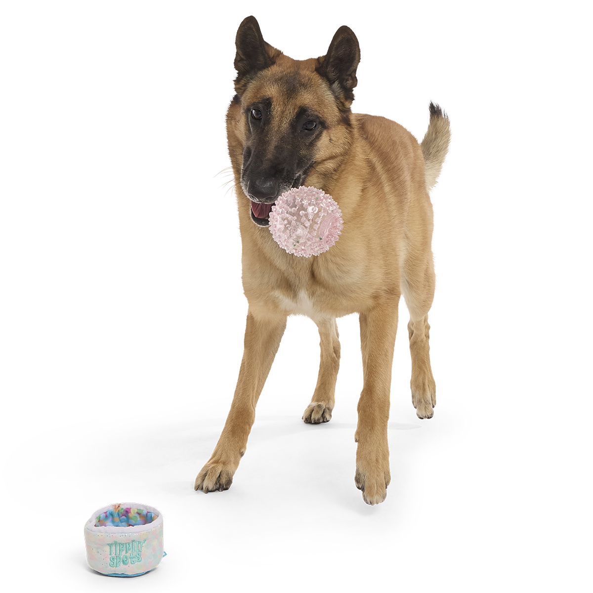 Yippin’ Spots Plush Multi-Part Fetch + Enrichment Dog Toy