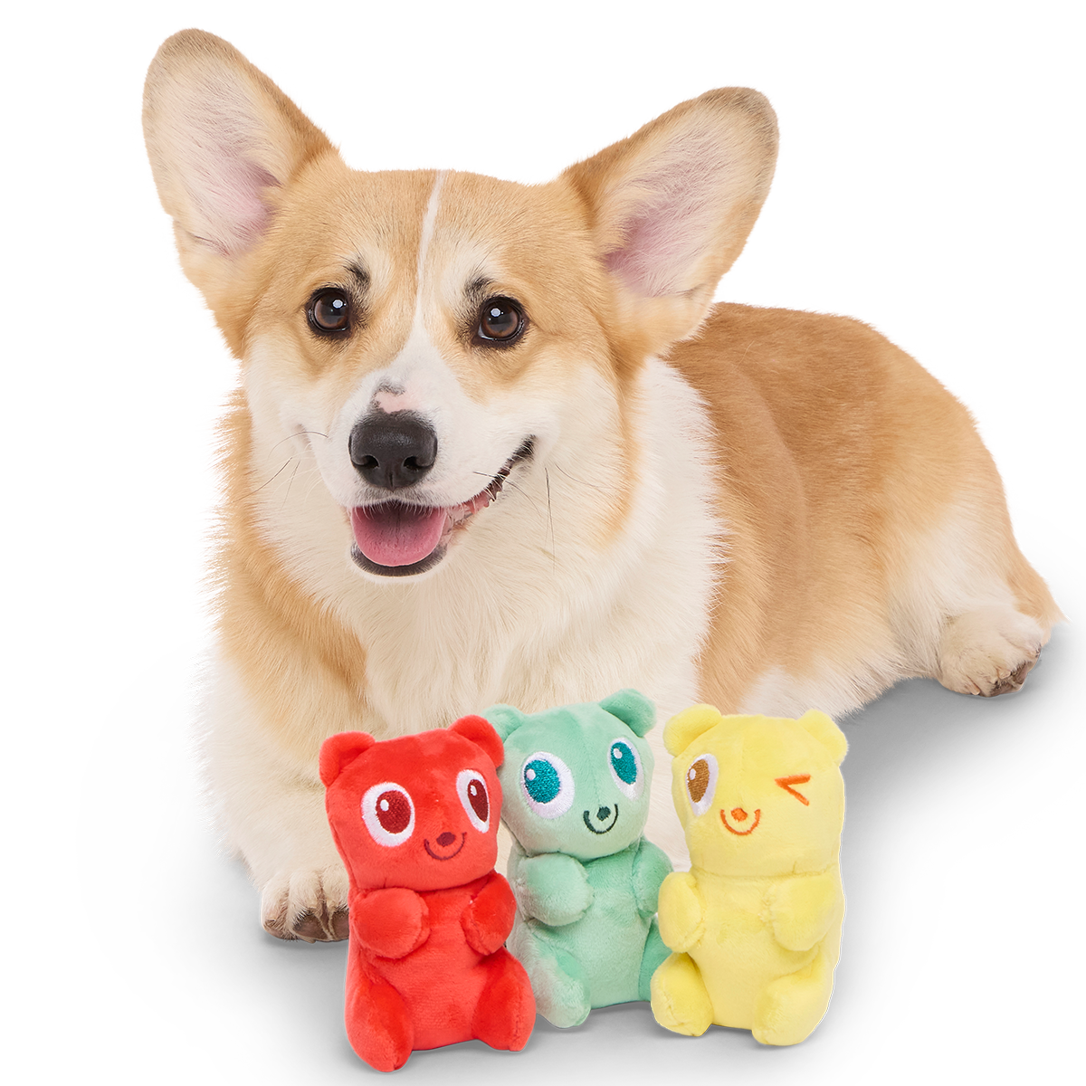Yummy Bear Buddies Plush Multi-Part Dog Toy