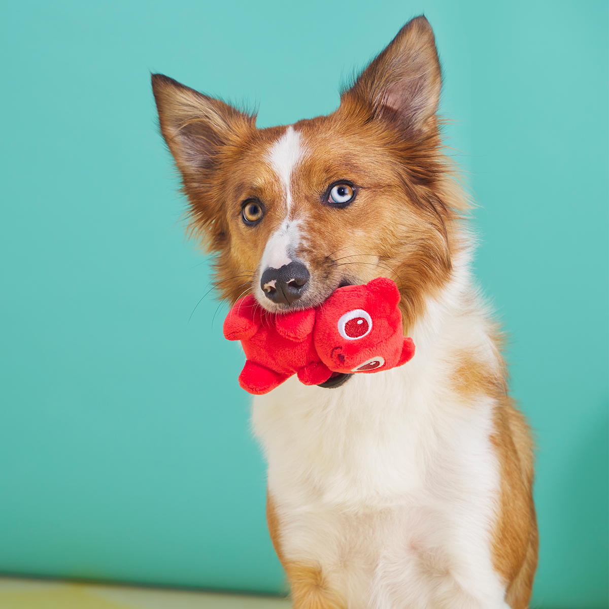 Yummy Bear Buddies Plush Multi-Part Dog Toy