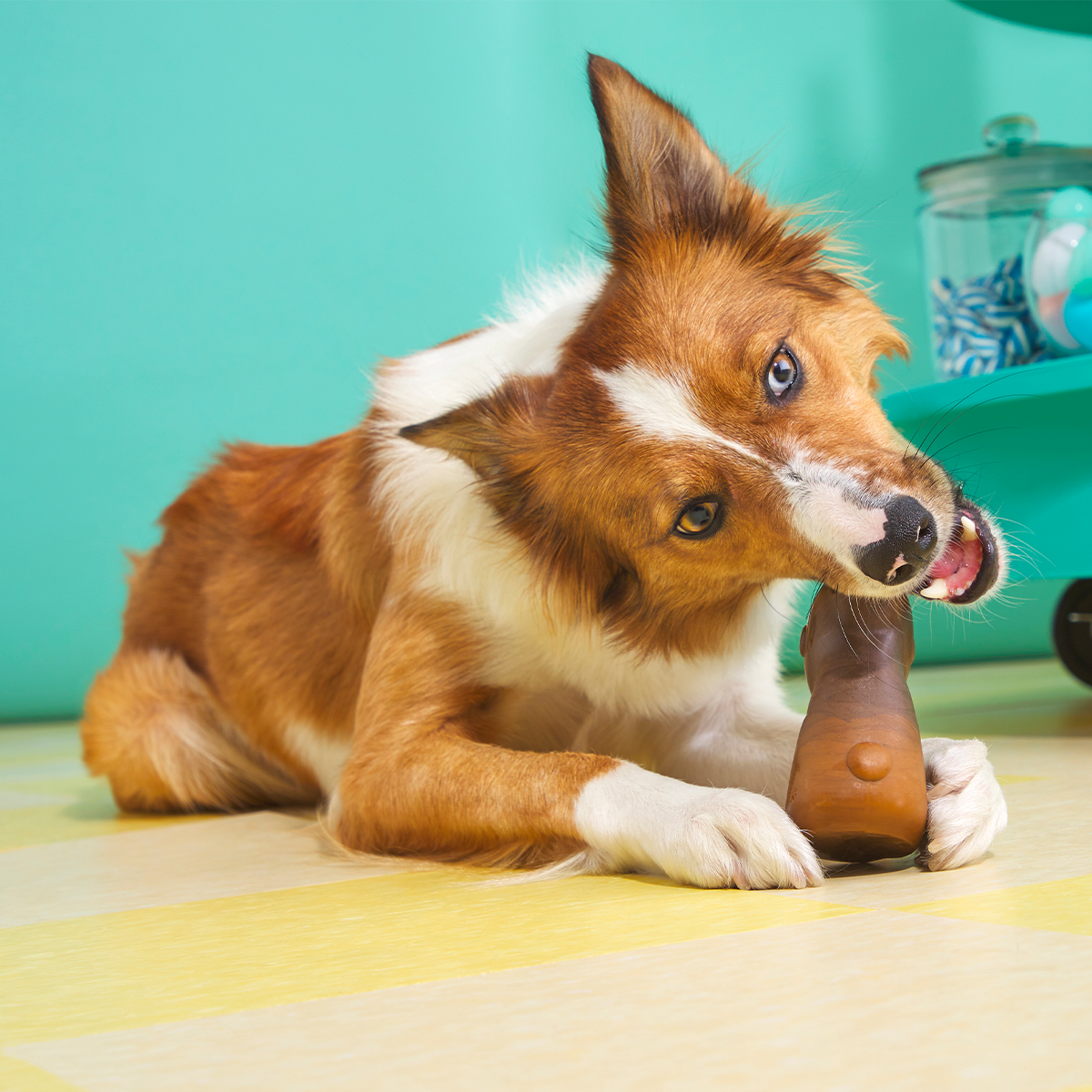Yummy Bunny Super Chewer Durable Gnaw Dog Toy