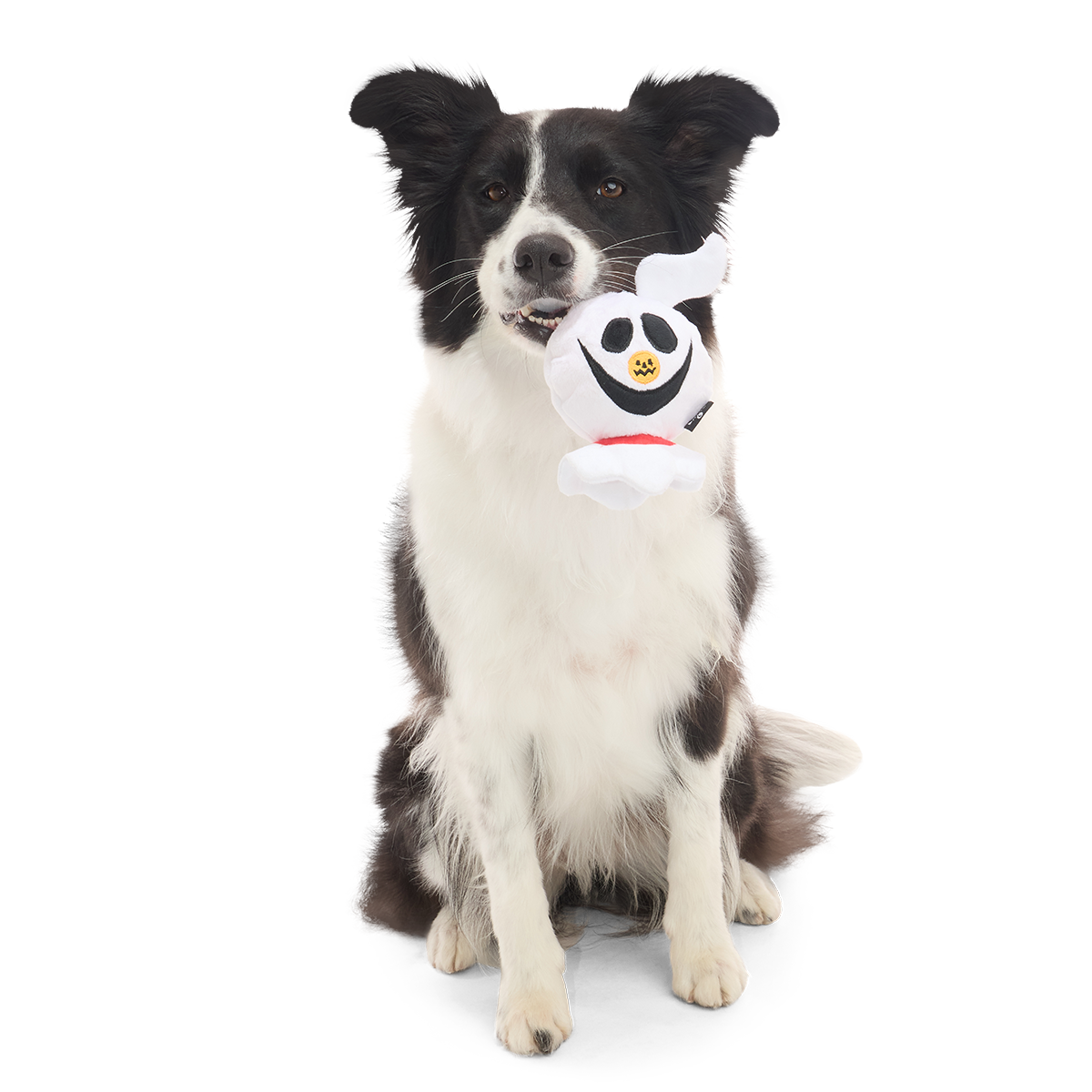 Zoomie Zero Super Chewer Durable 2-in-1 + Fetch Dog Toy