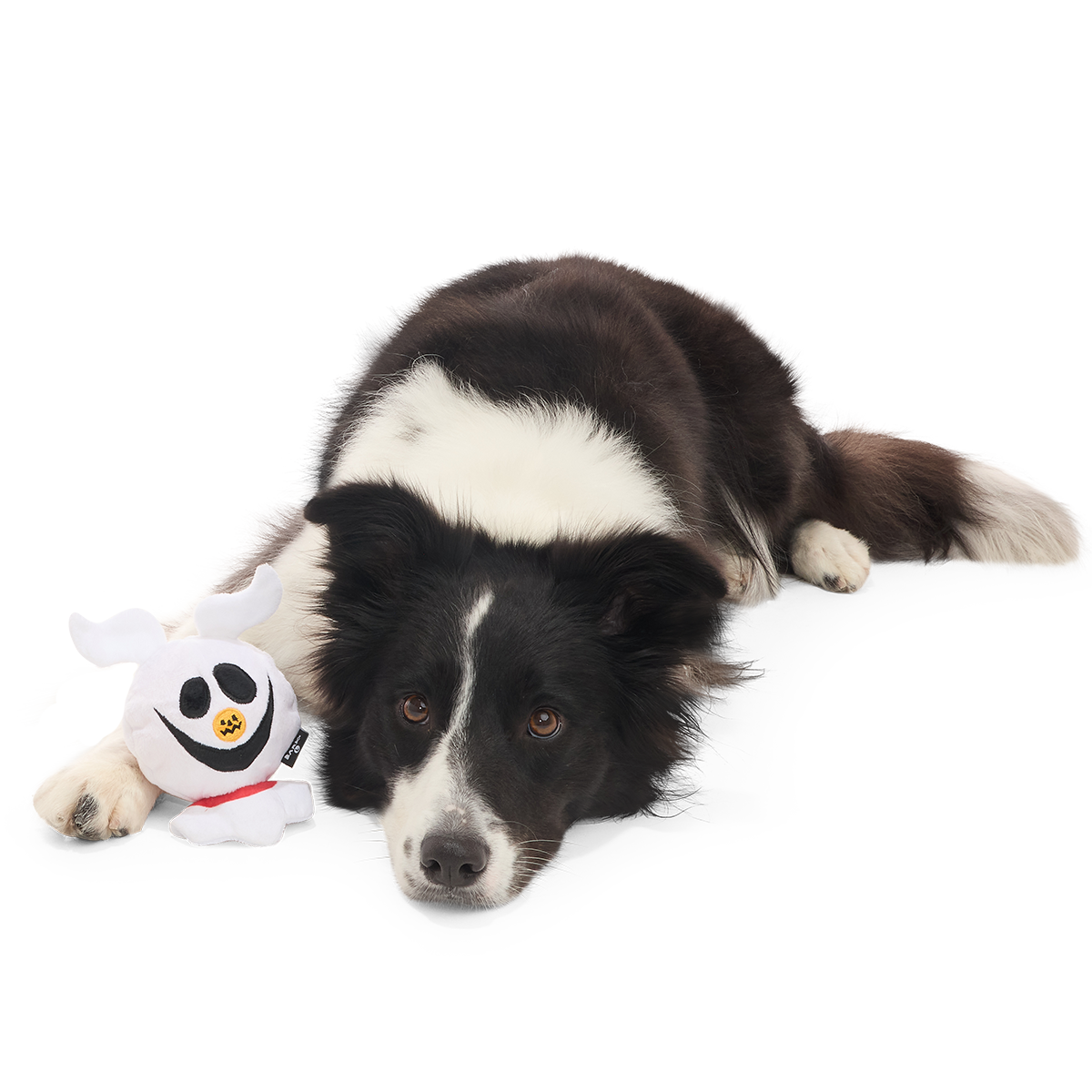 Zoomie Zero Super Chewer Durable 2-in-1 + Fetch Dog Toy