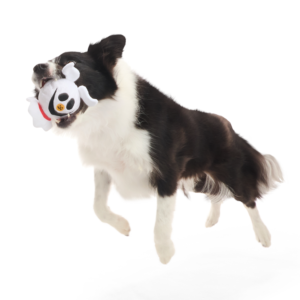 Zoomie Zero Super Chewer Durable 2-in-1 + Fetch Dog Toy