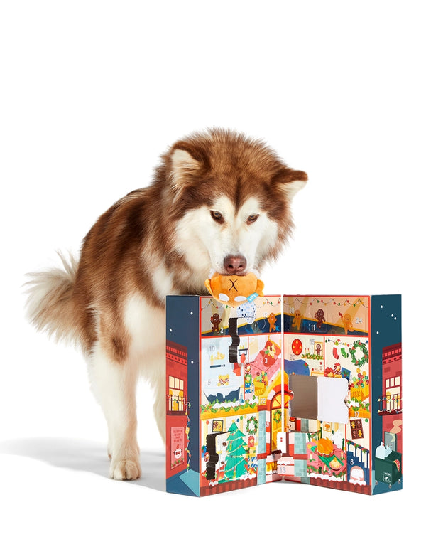 Countdown to Christmas!