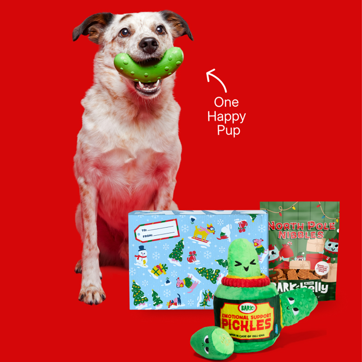 Pickle Bundle Dog Toys & Dog Treats Holiday Gift Box